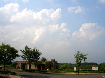 ���j�����ْ��ԏꂩ�璭�߂������̐�