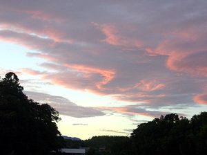 �����̗[�Ă���ł�