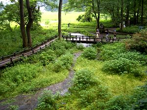 �P��̌���