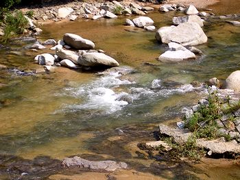 �����̐쌴