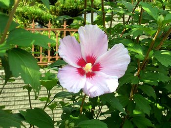 �܂��Ō�������