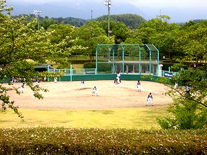 �����̍s��ꂽ��������\�t�g�{�[����