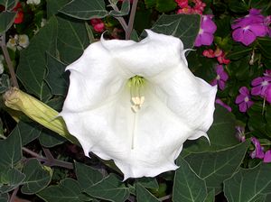 �܂��Ō�������