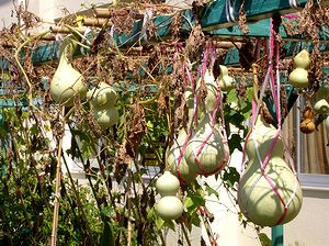 �쏬�w�Z�Ō����܂���