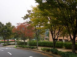 �g�t���n�܂肾�����i�T�R�����j