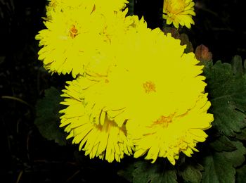 �܂��Ō�������