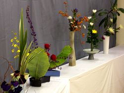 �鐼�R�~���j�e�B�̕�����