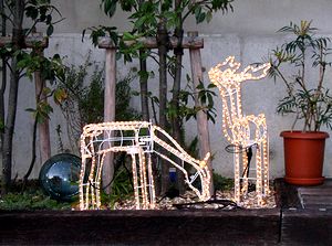 �C���~�l�[�V�����������Ă��܂����i�i�����񂸂Łj