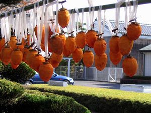 ����ɂ邳�ꂽ�`