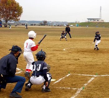 �R���̖����X�|���Ƃ̎����i�L���b�`���[���ьN�A�V���[�g����N�j