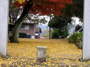 �C�`���E�́g���イ����h�i�@�p���j