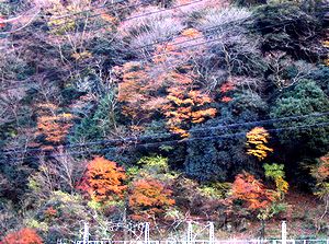 �����̎R�̍g�t