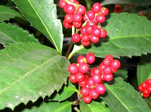 ��̃Z�������E