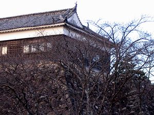 ��������~�i�F�̑����E