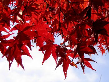 �~�ގ��̍g�t