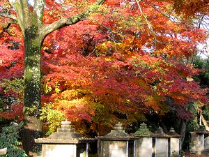 �~�ގ��̍g�t