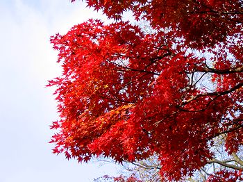 �~�ގ��̍g�t