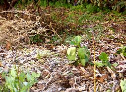 �����̑��Ŕ����Ȃ�����