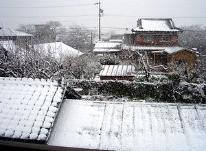 �����̐�i�F�i�Q�K�̑�����j