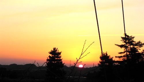 �֕x�m�n�C�c����̏����̏o