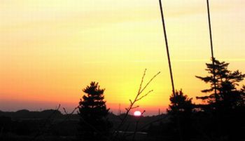 ���N�̏����̏o