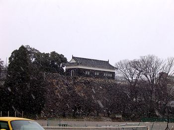 �����A�P�O�����̋T���̗l�q