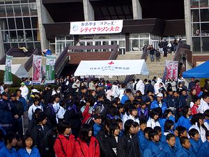 �V�e�B�}���\���̊J�