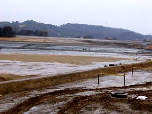 �V���ȑ����n