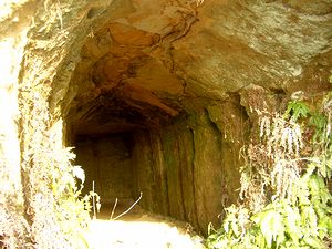 �Ӗ@���̕s���@�����̒n�����i�R�E���������܂����j