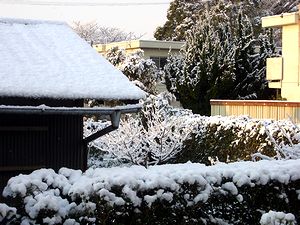 �����̐�i�F