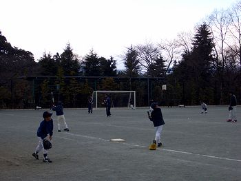 �\�t�g�{�[��������q�ǂ��B