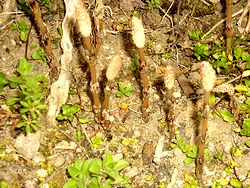 ����������������o����