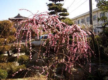 �܂��Ō�����������~