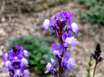 �܂��Ō�������