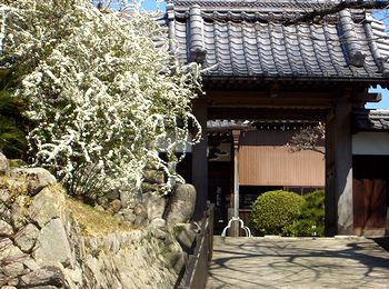 �~�ގ��̃��L���i�M