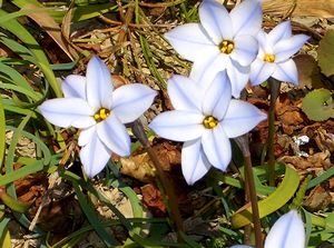 �܂��Ō�������