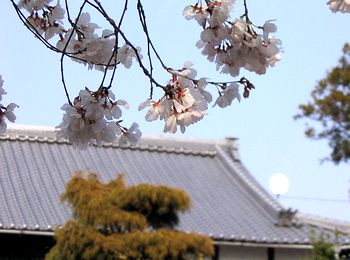 �����ɂ���@�����̍�