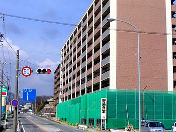 �T�R�x�@���O�̍��w�}���V����