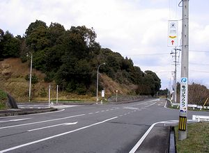 �t�����[���H�ƌ����̌����_