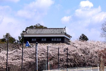 ���ɑ����E�͂悭������