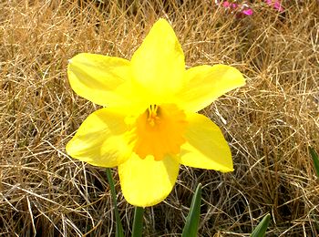 �܂��Ō�������