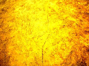 �n���ꂪ�N�����T�R���w�Z�̉^����i����j