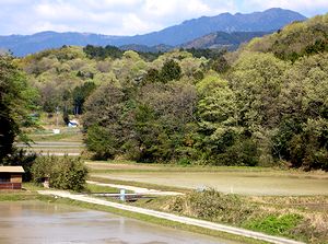 �V�΂̗��R�i�t�����[���H����j