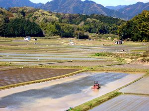 �c�A���̏������n�܂����@��o�i�t�����[���H����j