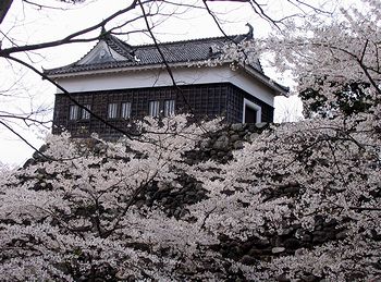 �����E�ƍ��@�I�����ʂ͂܂��ɍ��炭�ł����i���J�̍��̎ʐ^�j