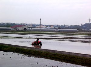 �c�A�����n�܂���