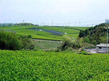 ���m�R�p�C���b�g�̂�����