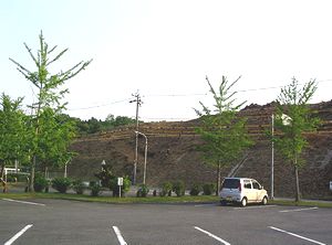 �ۖV��ɂ��ꂽ��������̖k�̗��R