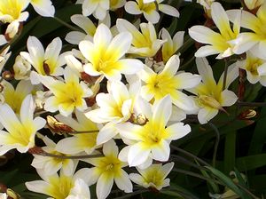 �܂��Ō�������