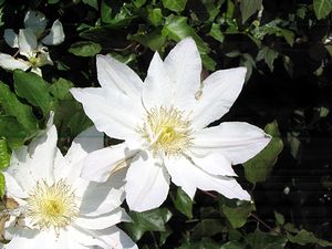 �܂��Ō�������